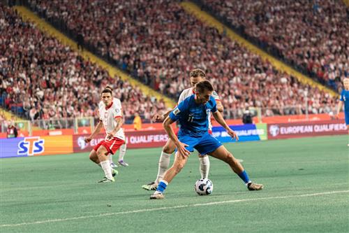波兰 vs 芬兰