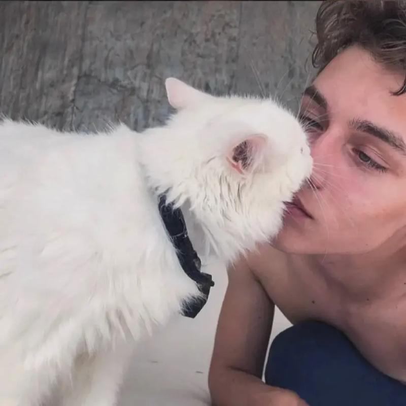 6686体育官方作者回首彼岸