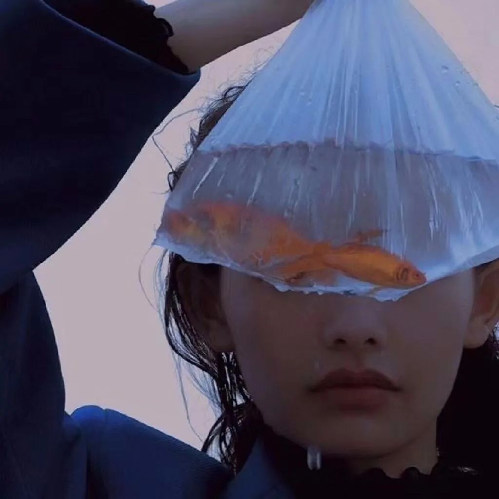 6686体育特邀作者Eileen