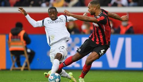 勒沃库森 vs 波鸿历史战绩